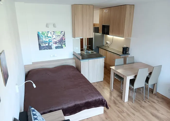 Apartament Royal Palm Studio, Sveti Vlas