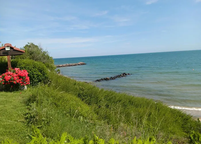 Apartament Royal Palm Studio, *