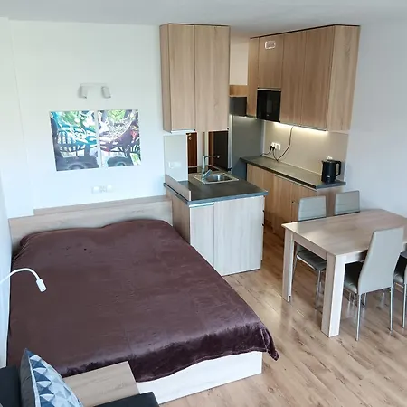 Apartment Royal Palm Studio, Sveti Vlas