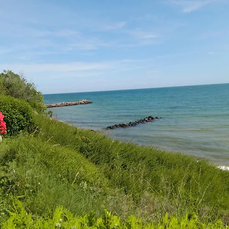 Apartment Royal Palm Studio, *